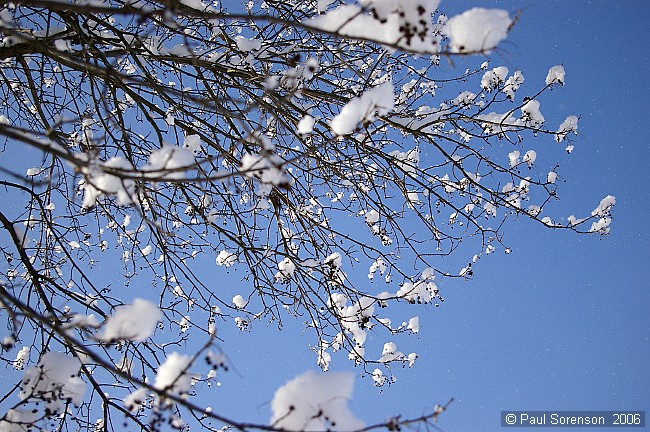 It's A Marshmallow World...