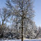 WI-Winter-DS-0008.jpg