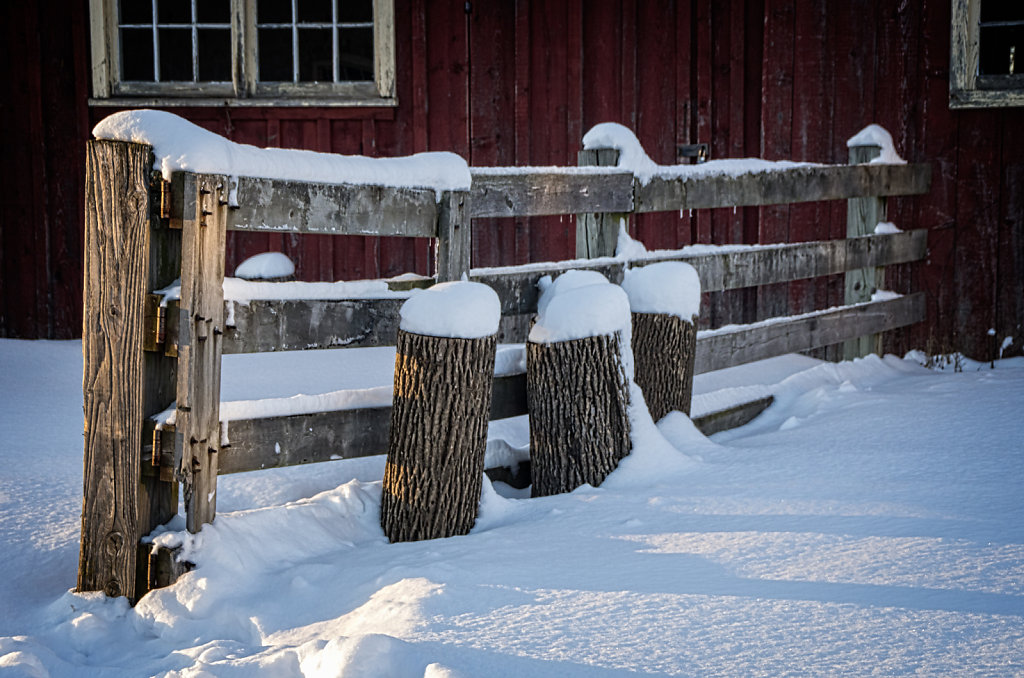 Trimborn-Farm-Winter-K-5-4298.jpg