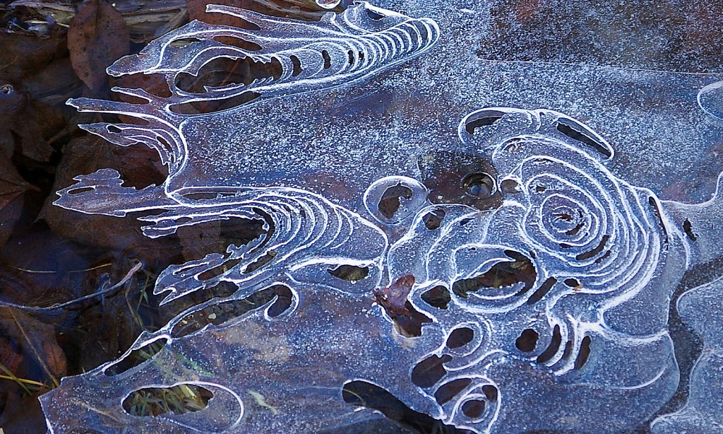 ice-patterns-copy.jpg